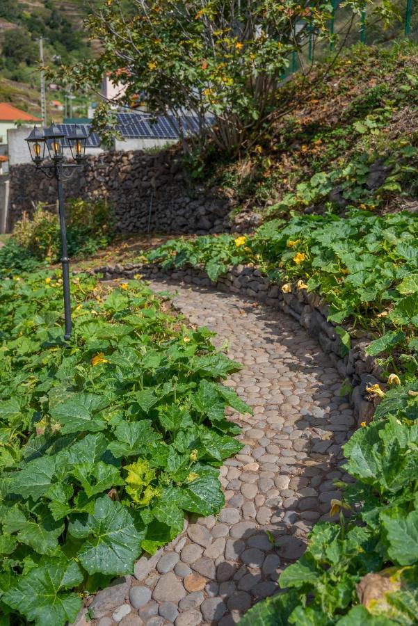 Solar Dos Reis By An Island Apart Ribeira Brava Exterior foto