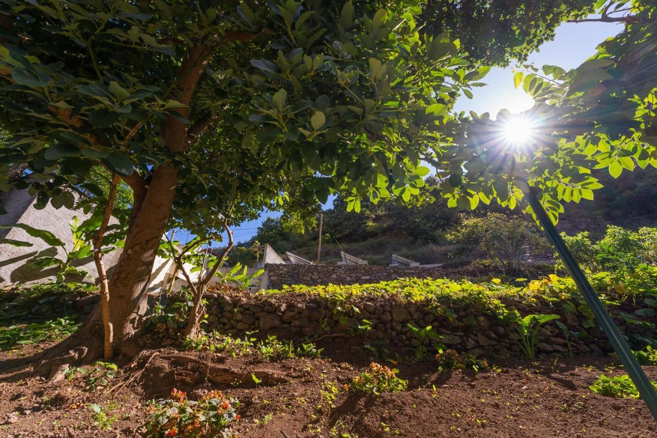 Solar Dos Reis By An Island Apart Ribeira Brava Exterior foto